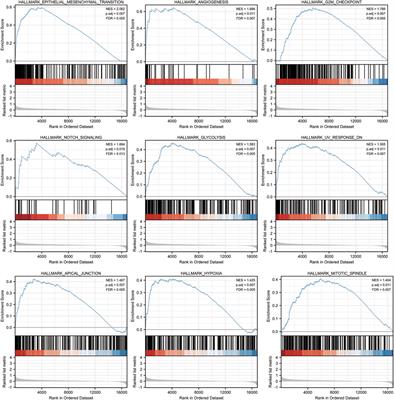 Bioinformatics-based analysis reveals elevated CYTL1 as a potential therapeutic target for BRAF-mutated melanoma